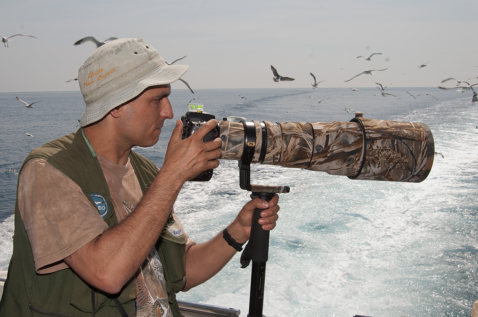 Fotogafiando aves marinas